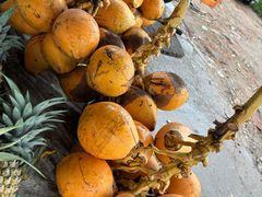 -尼甘布海鲜市场