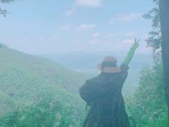 -天女山森林公园