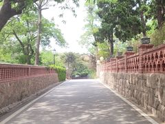 -八大关景区