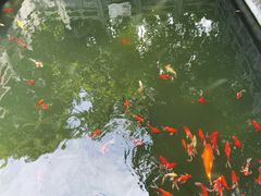 -包公祠