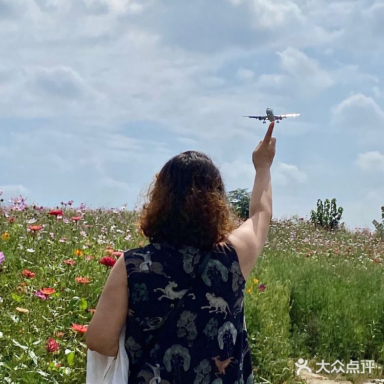 看飞机✈️好去处  拍照真的好好看呀～ 