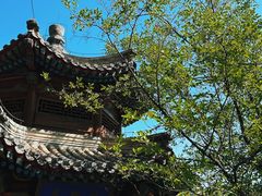 -承德避暑山庄景区