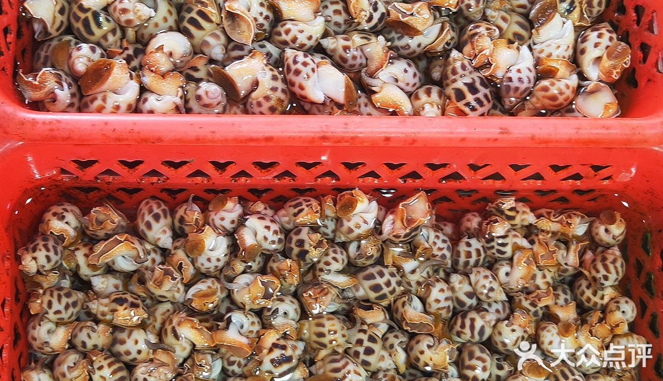 【广海🦐海鲜】