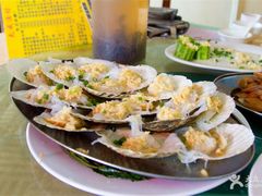 -大湾区中央湿地公园-十九涌