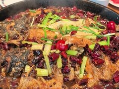 -老板恋上鱼(恒隆广场店)