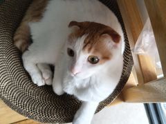 -泉州海丝野生动物世界