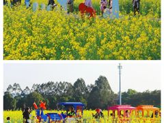 -光明小镇欢乐田园