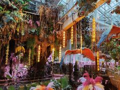 -正佳雨林生态植物园