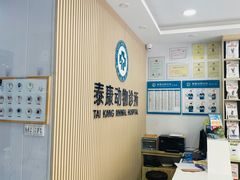 -泰康动物医院·猫科中心·外科中心(塘沽店)