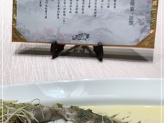 -诺莱仕游艇会