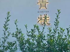-青桃餐厅