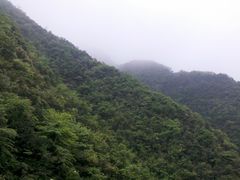 -娄山关景区