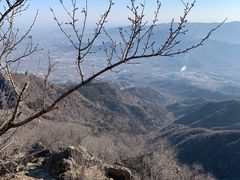 -阳台山自然风景区