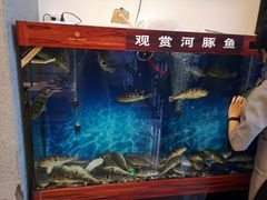 水产区-肆月河豚·新淮扬(金融街店)