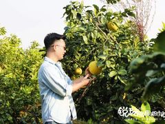 -梁子湖东篱老屋生态庄园