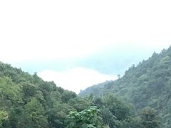 -牛背梁国家森林公园