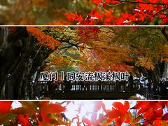 -福道