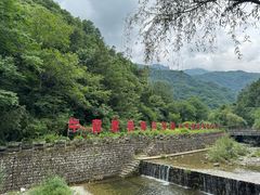 -牛背梁国家森林公园