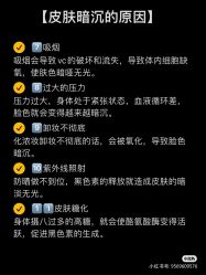 -凡碧诗毛孔清洁收细