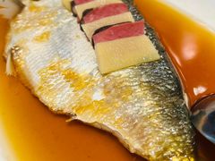 鲥鱼-香然会·园林雅宴(陆家嘴店)