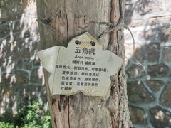 -佛慧山