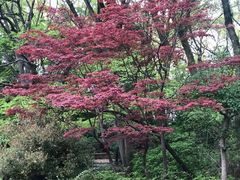 -热田神宫