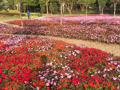 -文华公园(禅城区)