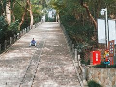 -上海佘山国家森林公园天马山园