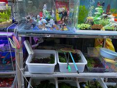 -曲阳花鸟市场(曲阳路店)