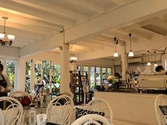 -Fern Forest Cafe