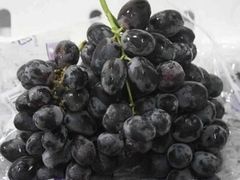 -Mr.Fruits水果先生(英蓝金融中心店)