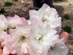 -霖公馆SPA·足道(普善路店)