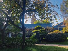 -大慈恩寺(大雁塔)