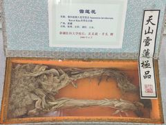 -北京中医药大学-中医药博物馆