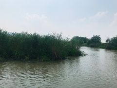 -长兴太湖图影湿地文化园