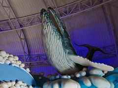 -烟台海昌鲸鲨海洋公园