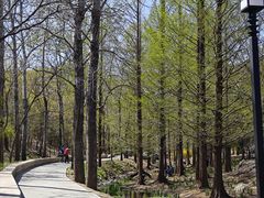 -白水寺森林公园