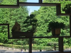 -深圳仙湖植物园