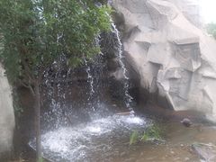 后山瀑布-黄河富景生态世界