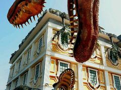 -芜湖黄河国际旅行社