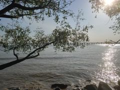 -宝安西湾红树林湿地公园