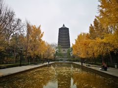 -玲珑塔公园
