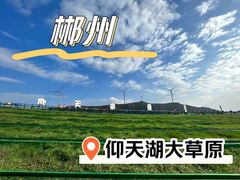 -仰天湖大草原
