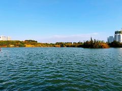 -五缘湾湿地公园