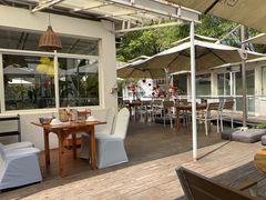 -芭厘·农庄老字号.电饭煲五指毛桃焗鸡