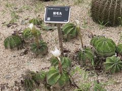 -东莞植物园