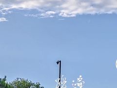 -盘龙城国家考古遗址公园