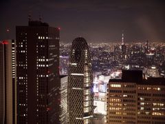 都厅-东京都厅舍