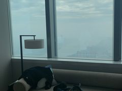 -长沙尼依格罗酒店