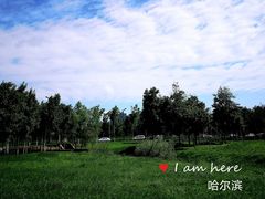-哈尔滨大剧院